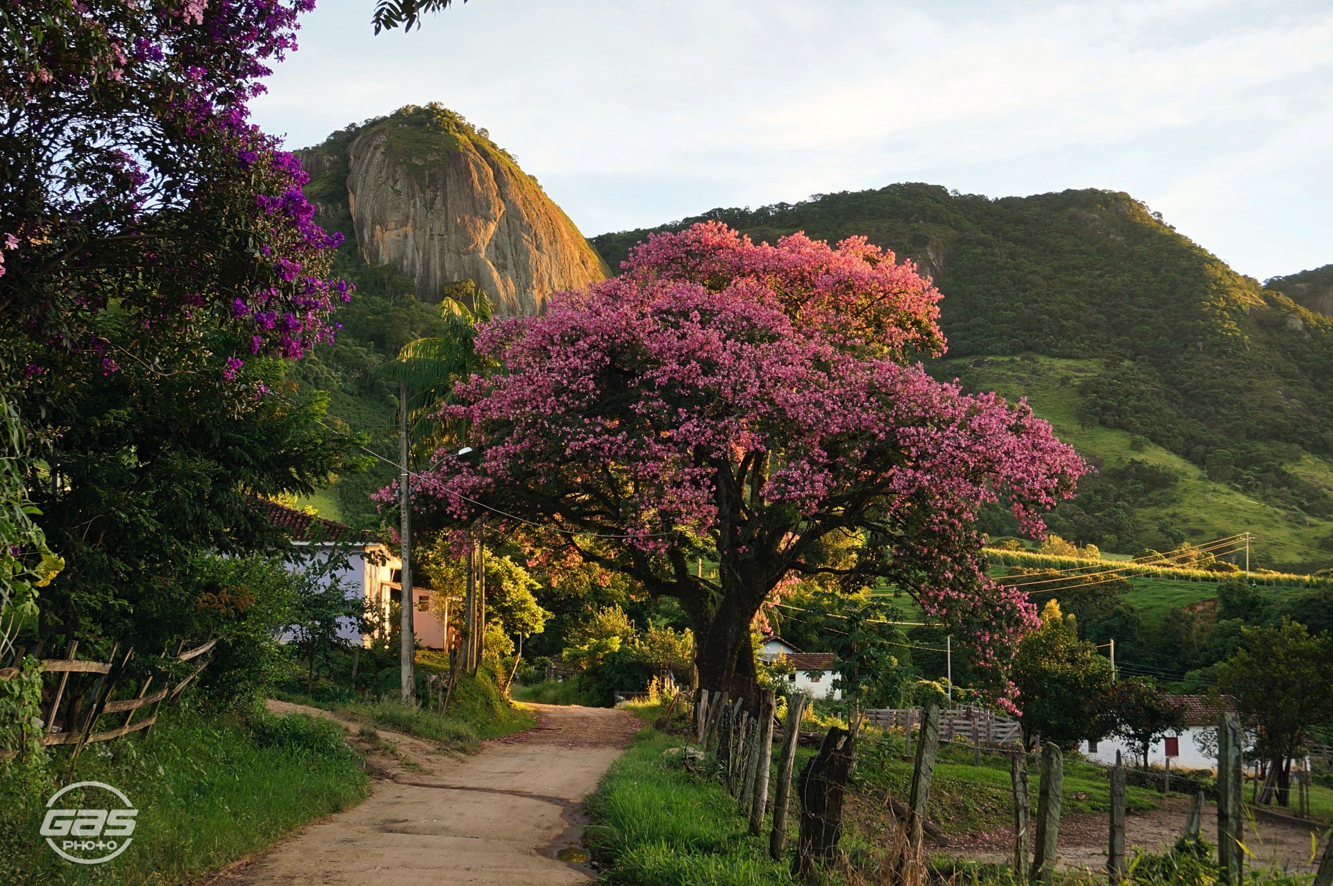 Pedra do Pântano