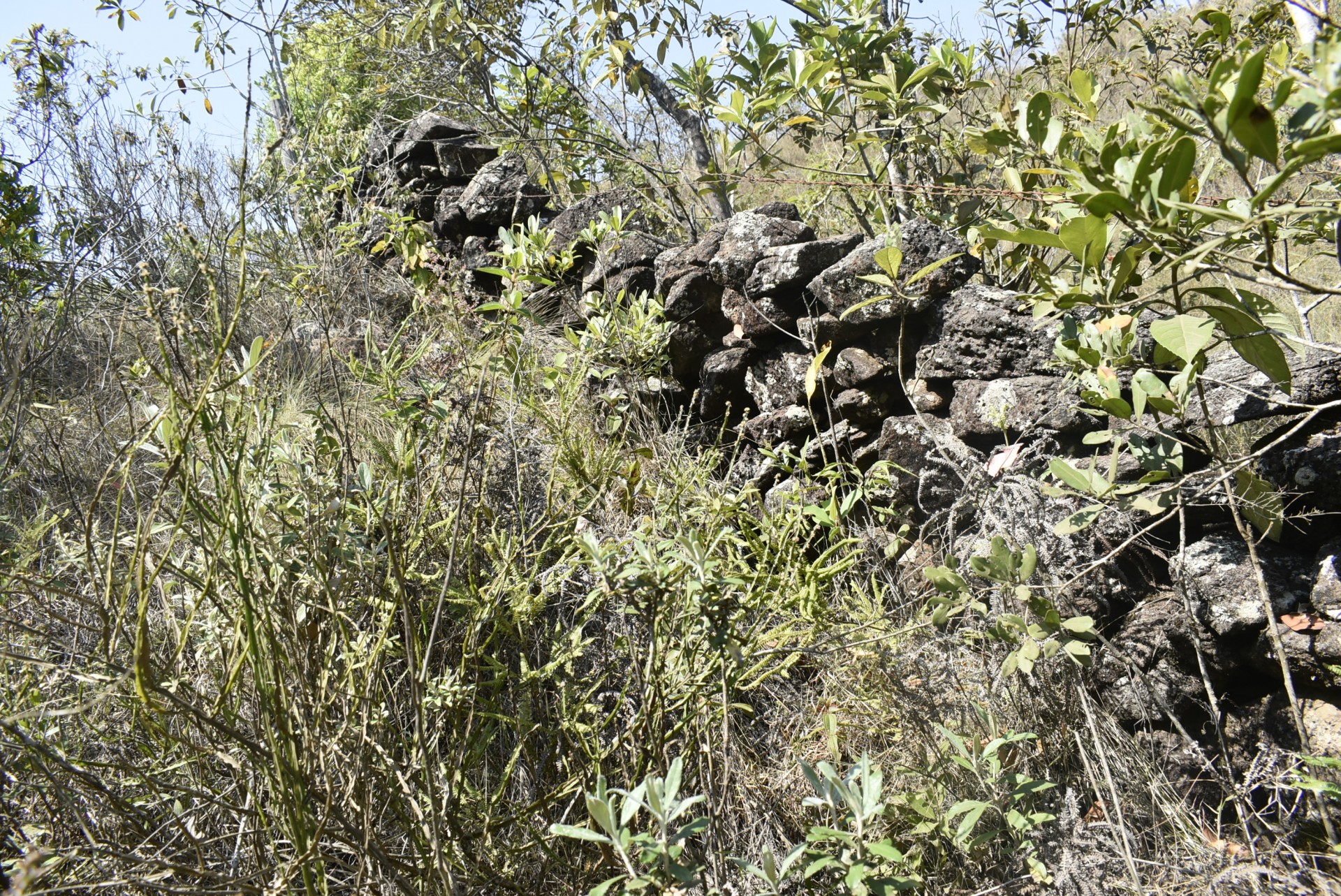 Muro de pedras dos Escravos