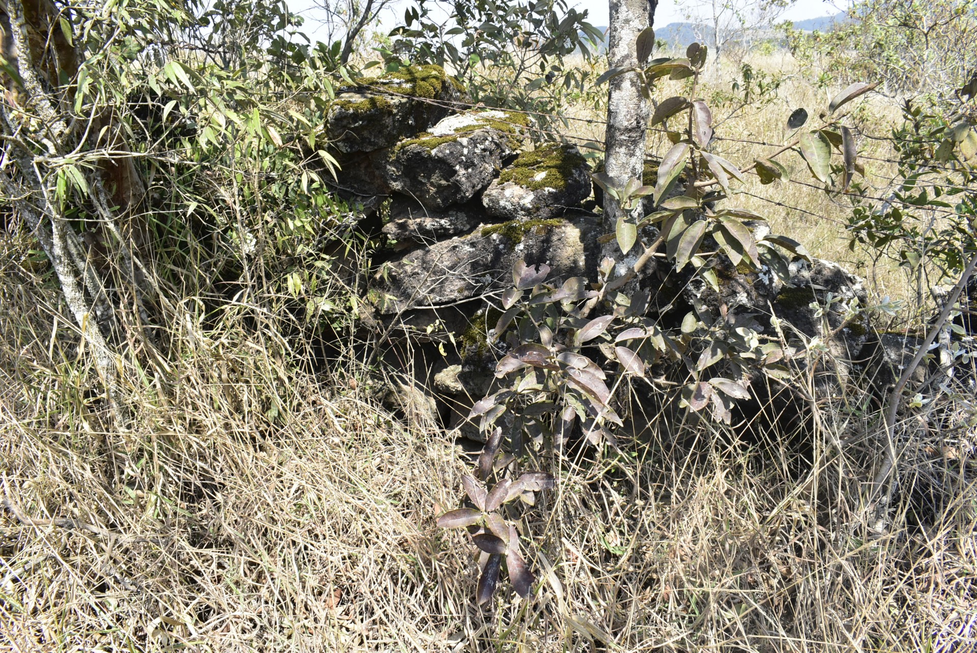 Muro de pedras dos Escravos