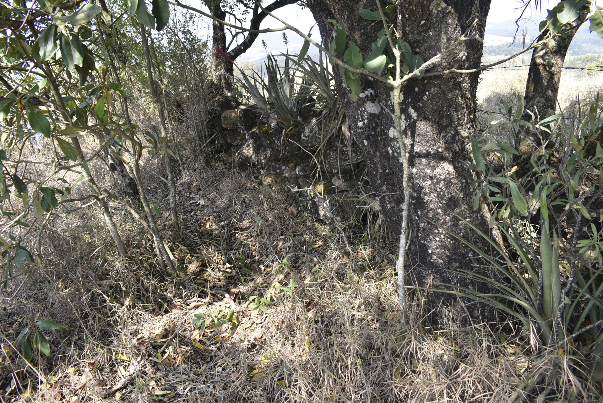 Muro de pedras dos Escravos