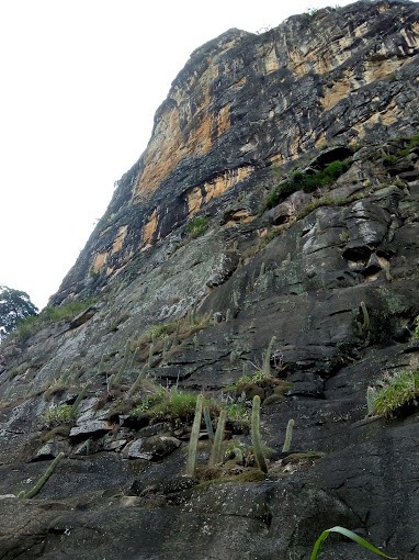 Brejaúbas Park - Campo de Escalada 