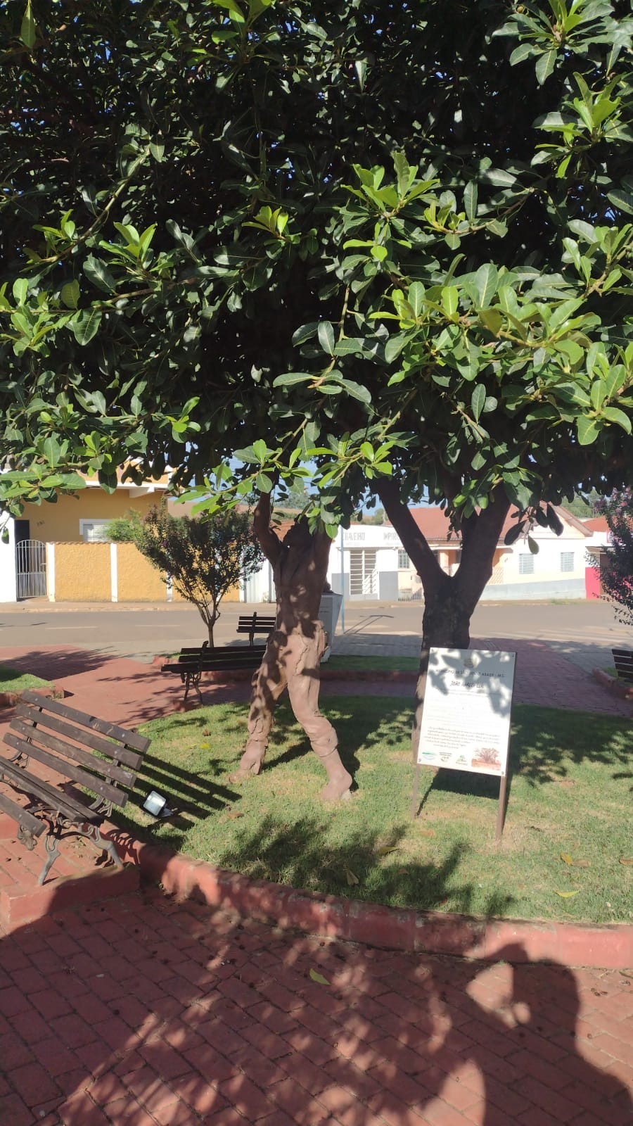 Praça 7 Orelhas