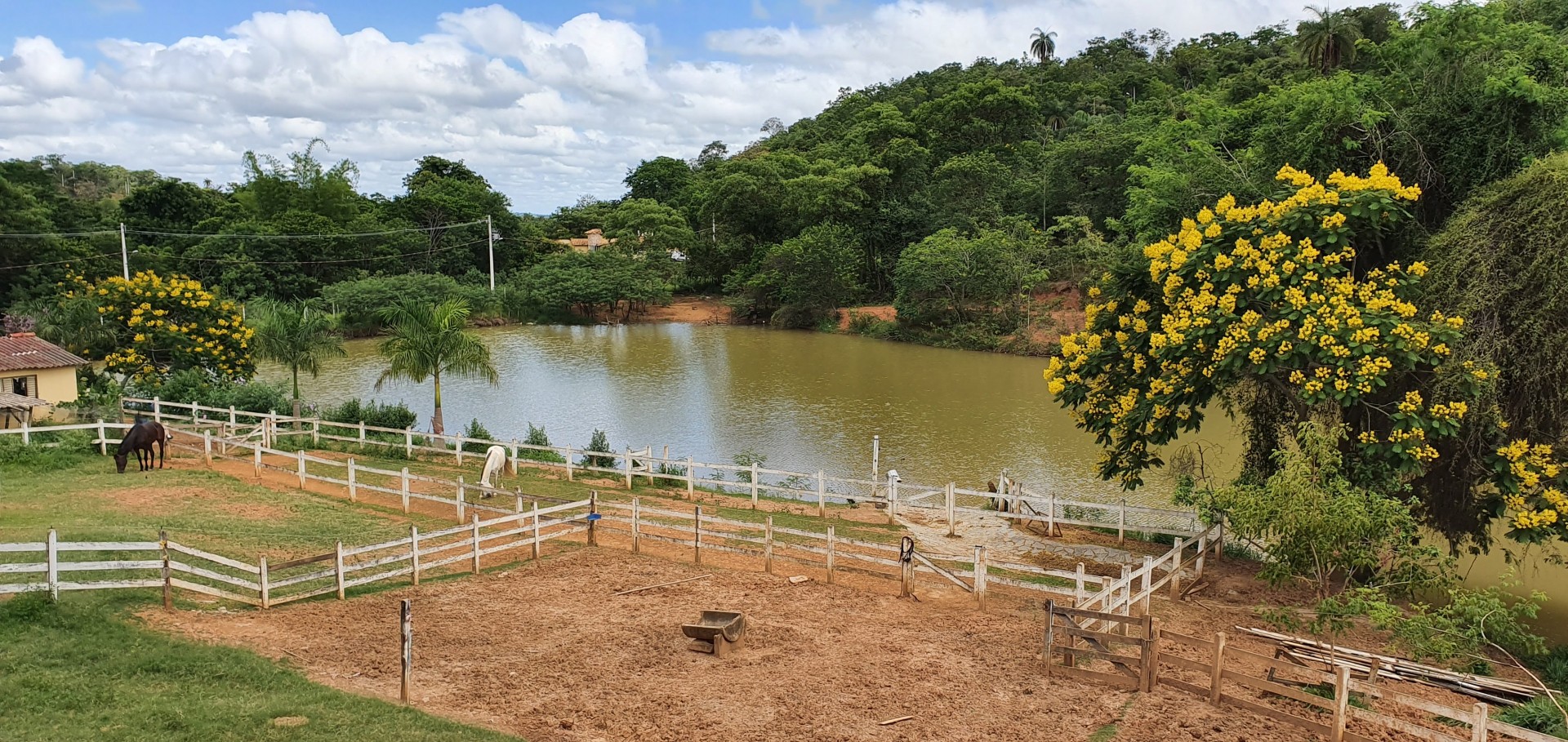 Haras Vale dos Sonhos