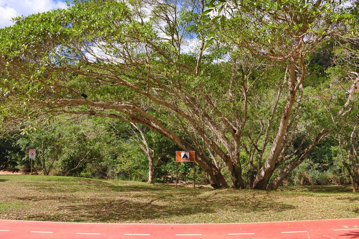 Balneário Benedito Martins Leite 