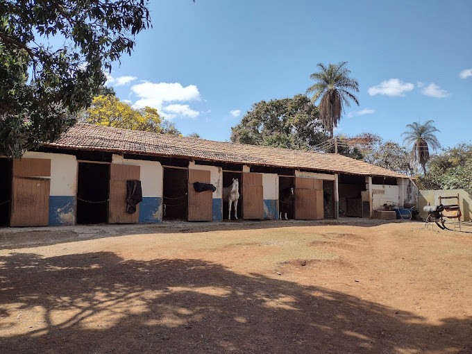 CELS - Clube Equestre de Lagoa Santa