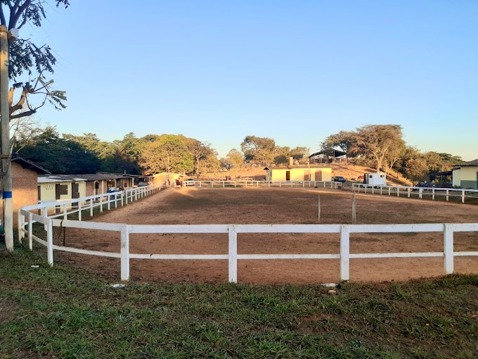 Haras Cisplatina