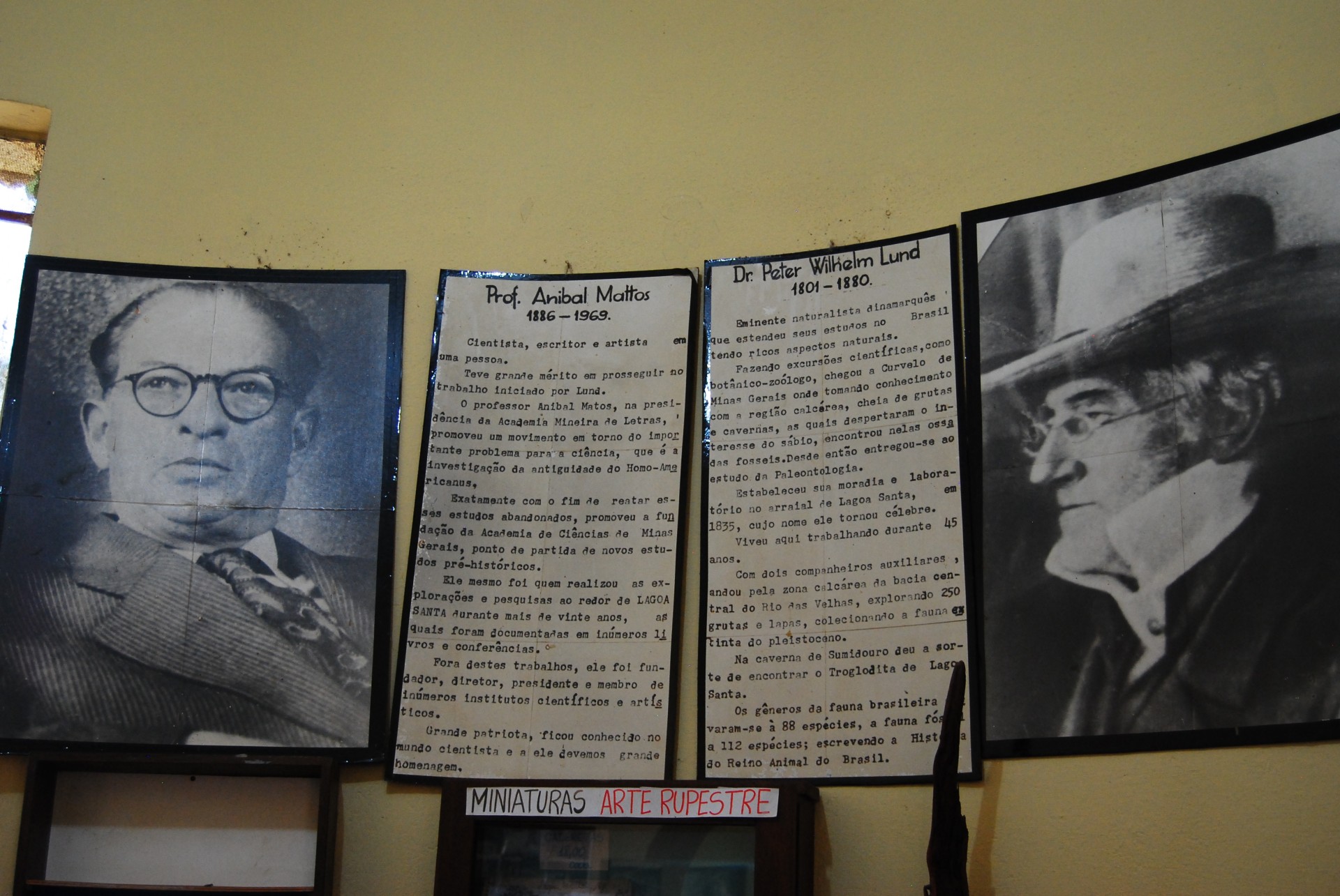 Museu do Castelinho