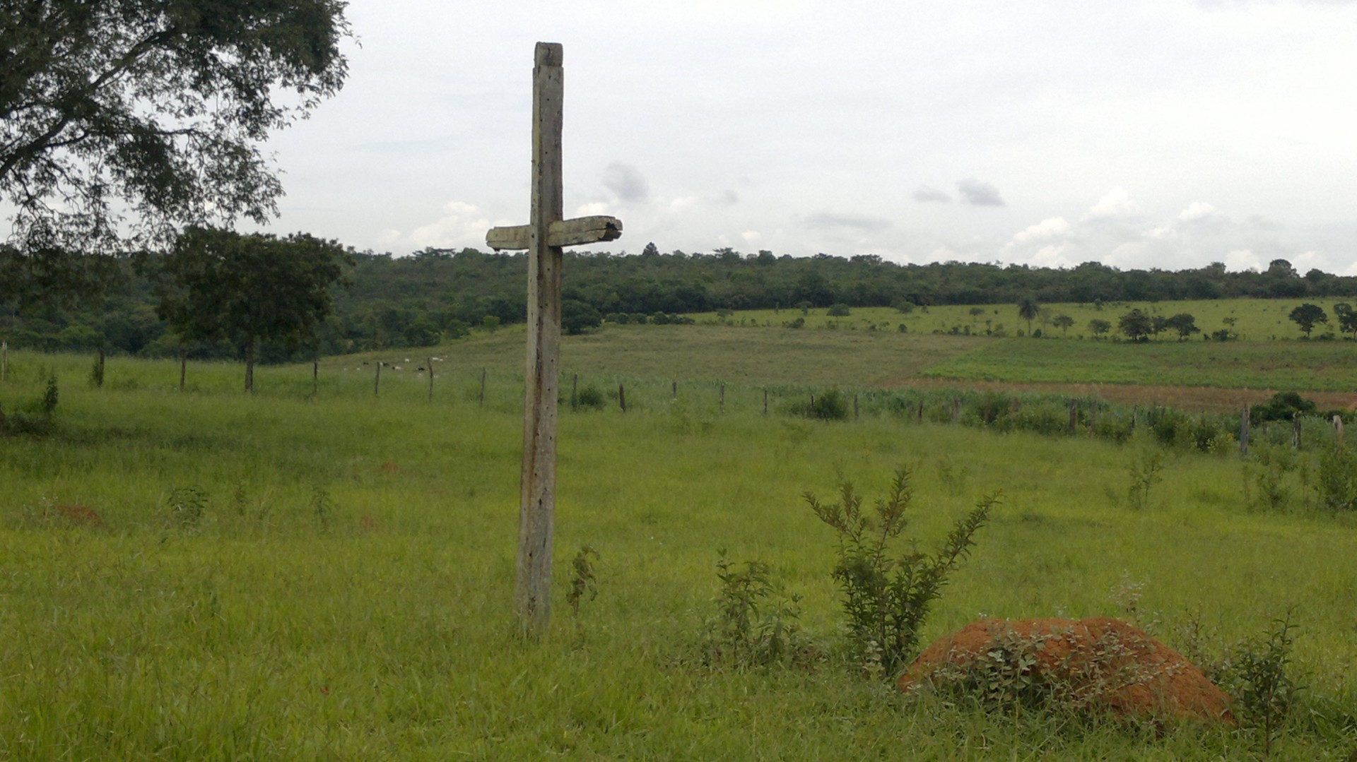 Cruz de Dom Rodrigo