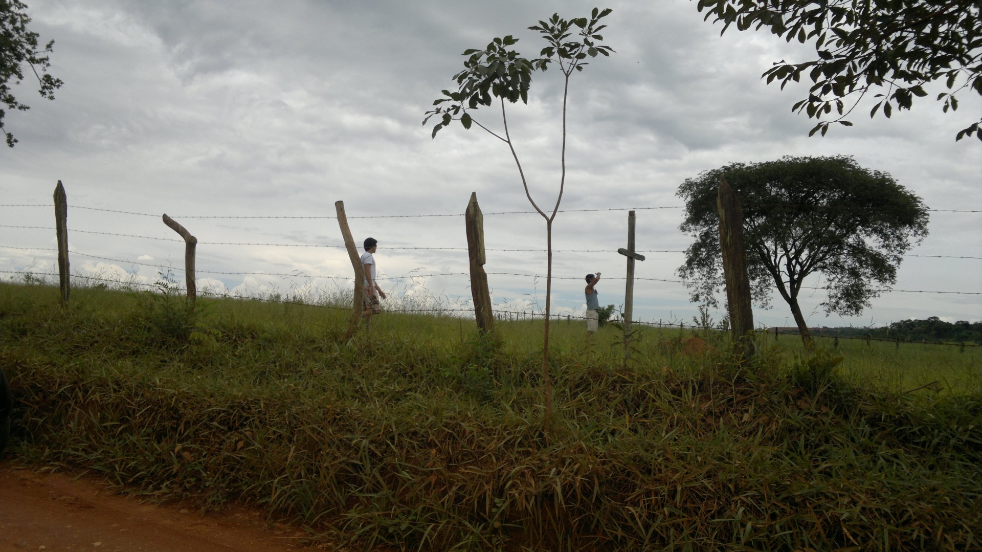 Cruz de Dom Rodrigo