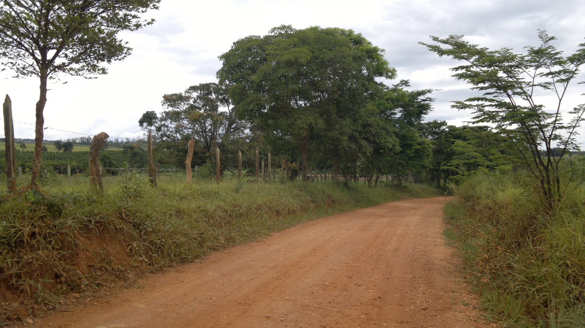 Cruz de Dom Rodrigo