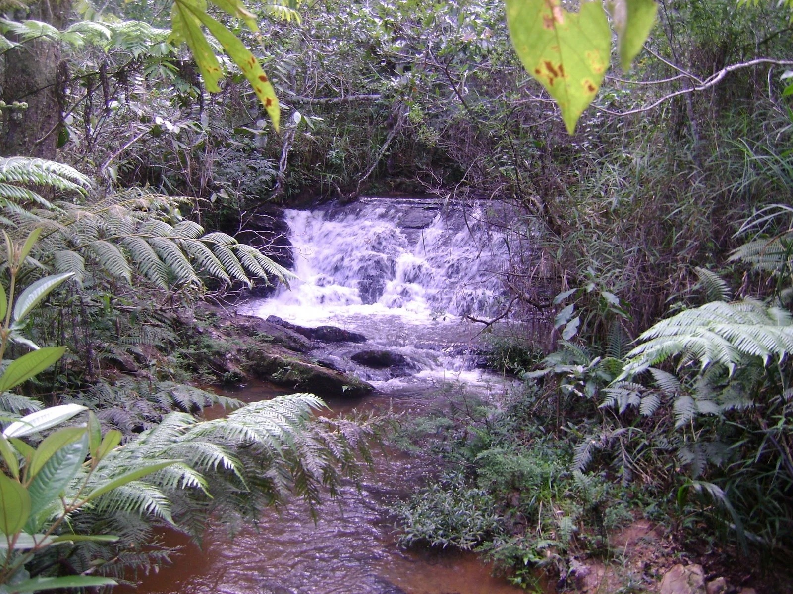 Cachoeira dos Lemes 