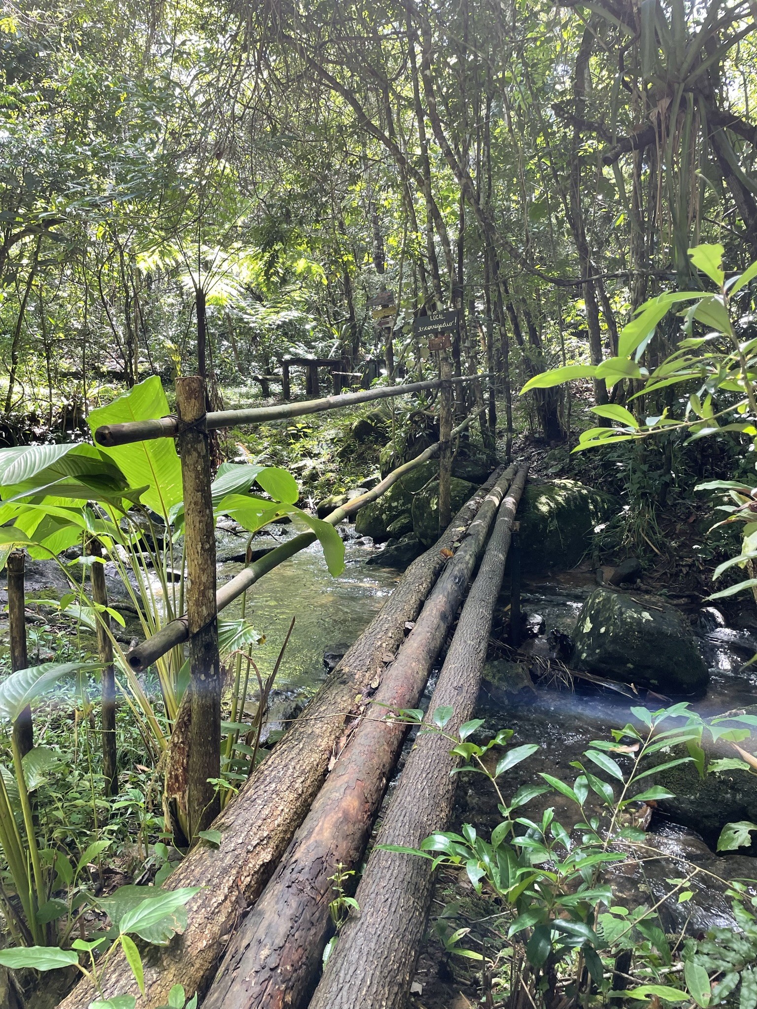 Cachoeira do Bosque