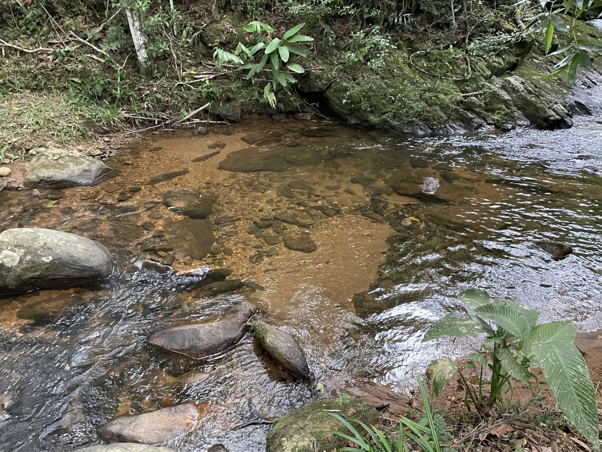 Cachoeira do Bosque