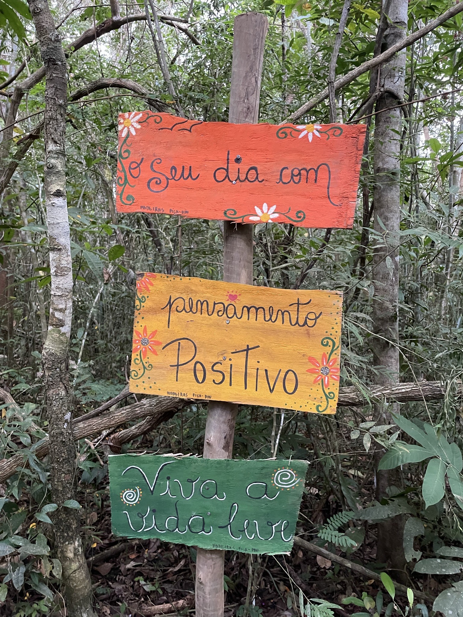 Cachoeira do Bosque