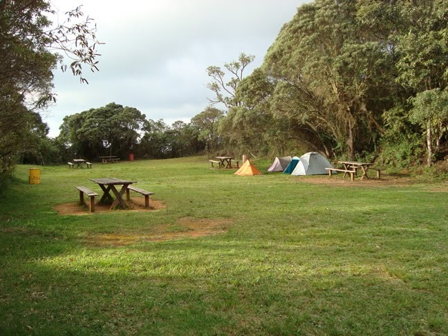 Tronqueira