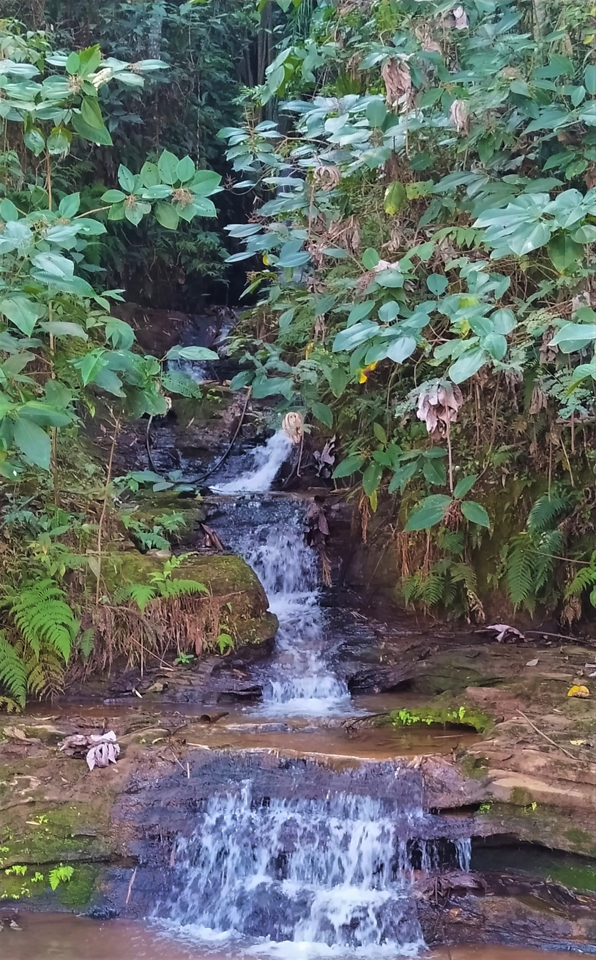 Queda d'água Fazenda Floresta