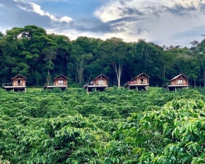 Pousada Café da Mata