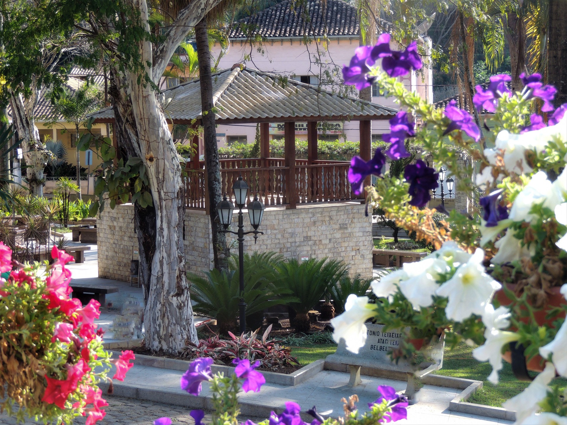 Jardim