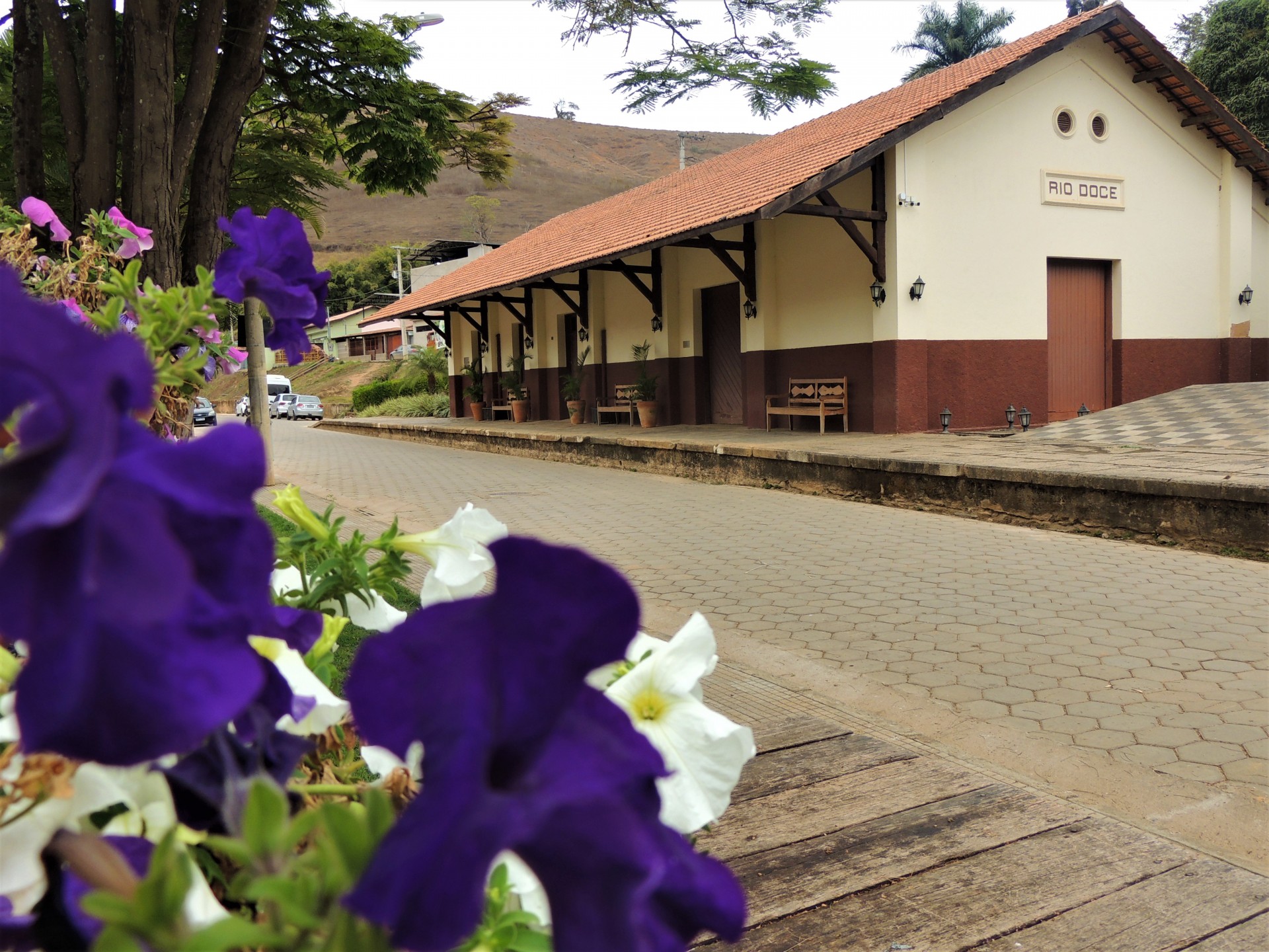 Estação Ferroviária - Imagem 4