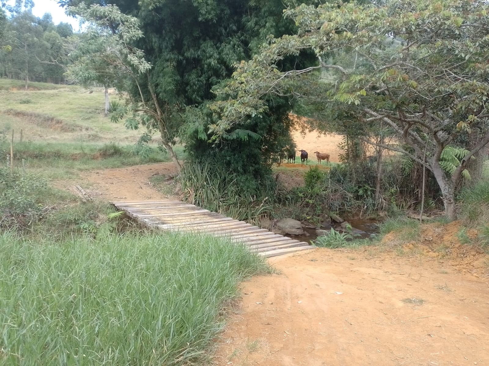 Cachoeira do Poço Fundo