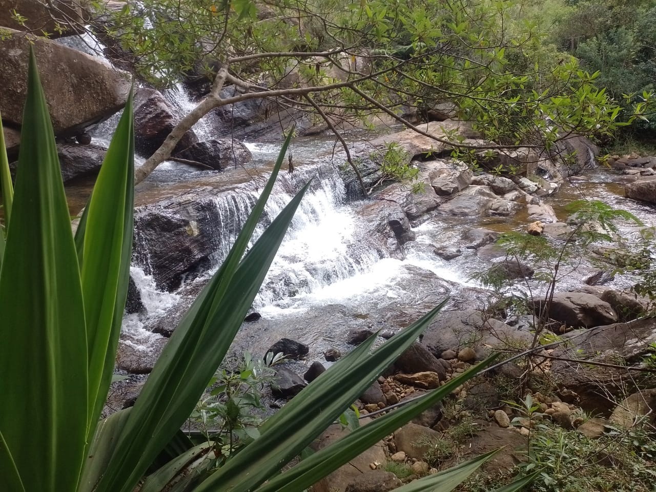 Cachoeira Pau-Brasil