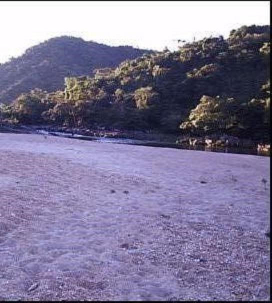 Praia da Cota