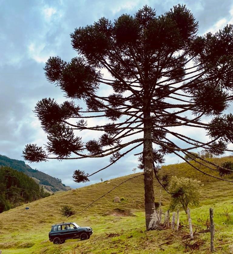 Puris Mantiqueira