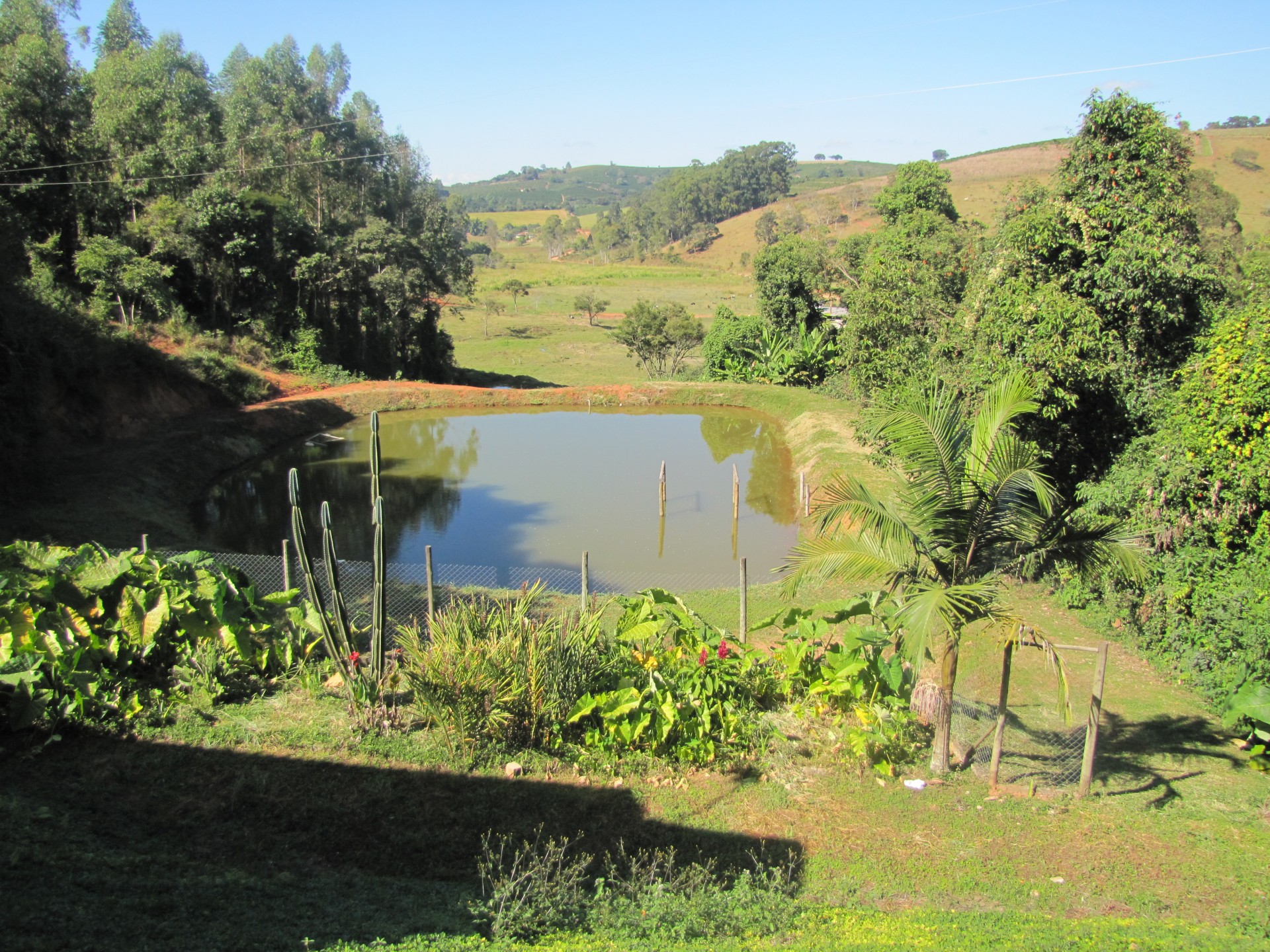 Pesqueiro Pé da Serra