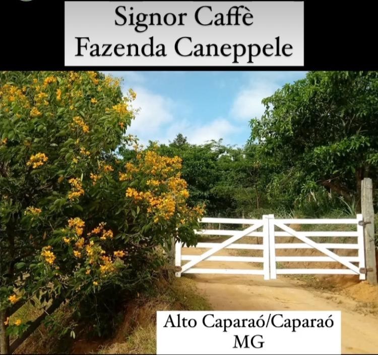 Signor Caffè Caneppele