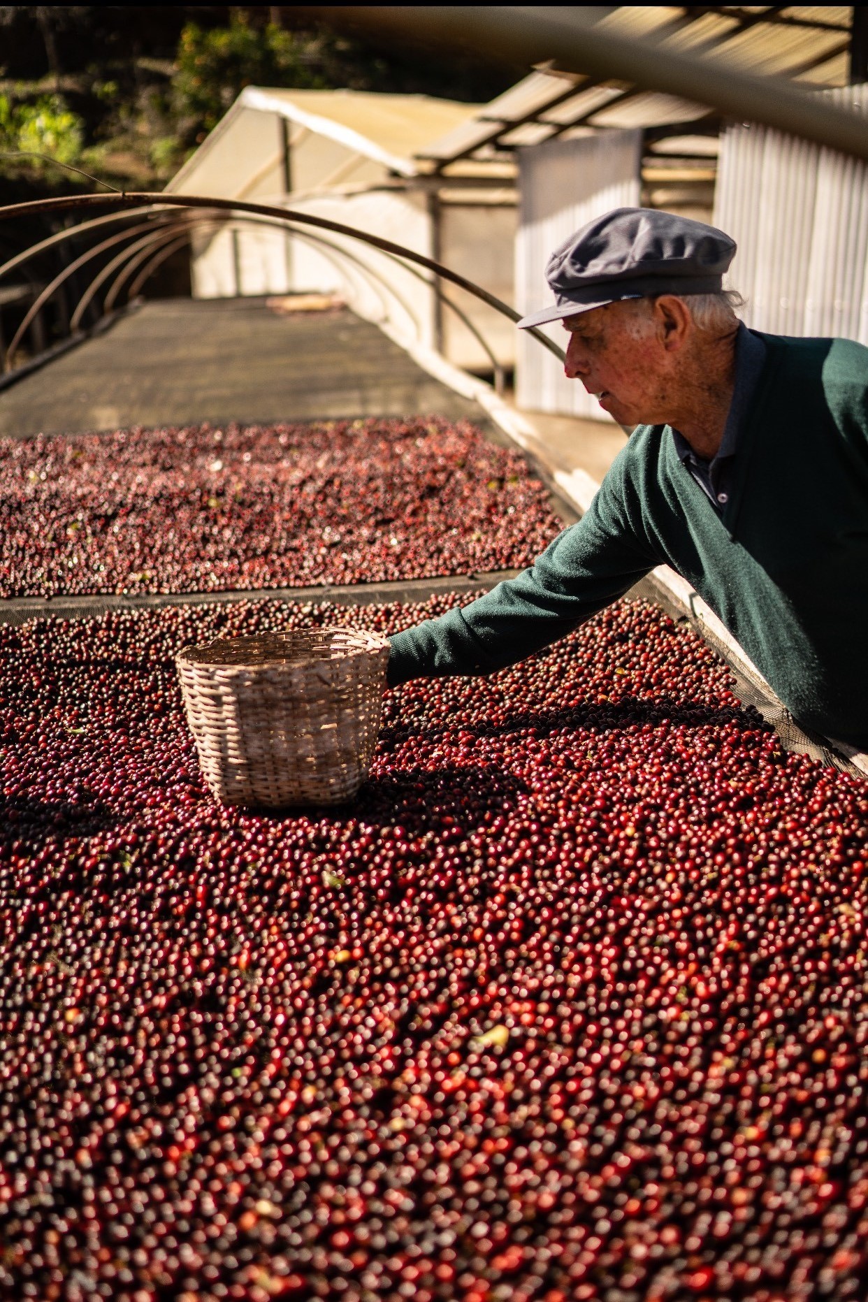 Café Fazenda Ninho da Águia