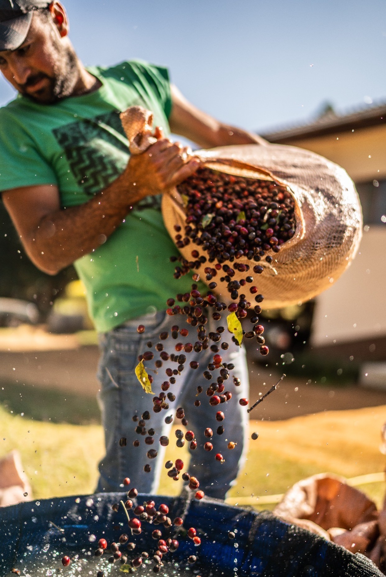 Café Fazenda Ninho da Águia