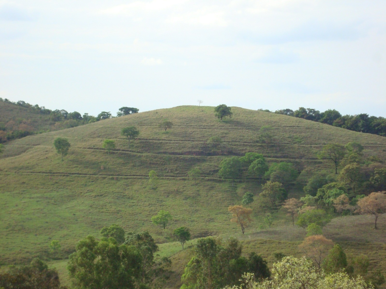 Morro do Vigia