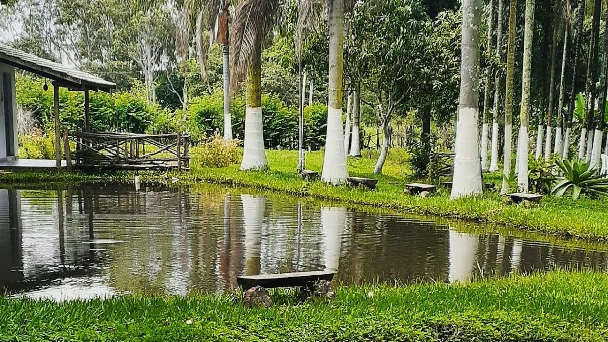  Jardim dos Lagos Restaurante 