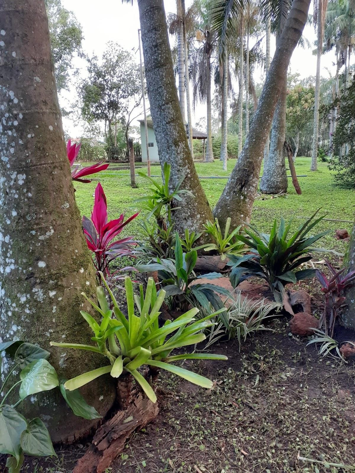  Jardim dos Lagos Restaurante 
