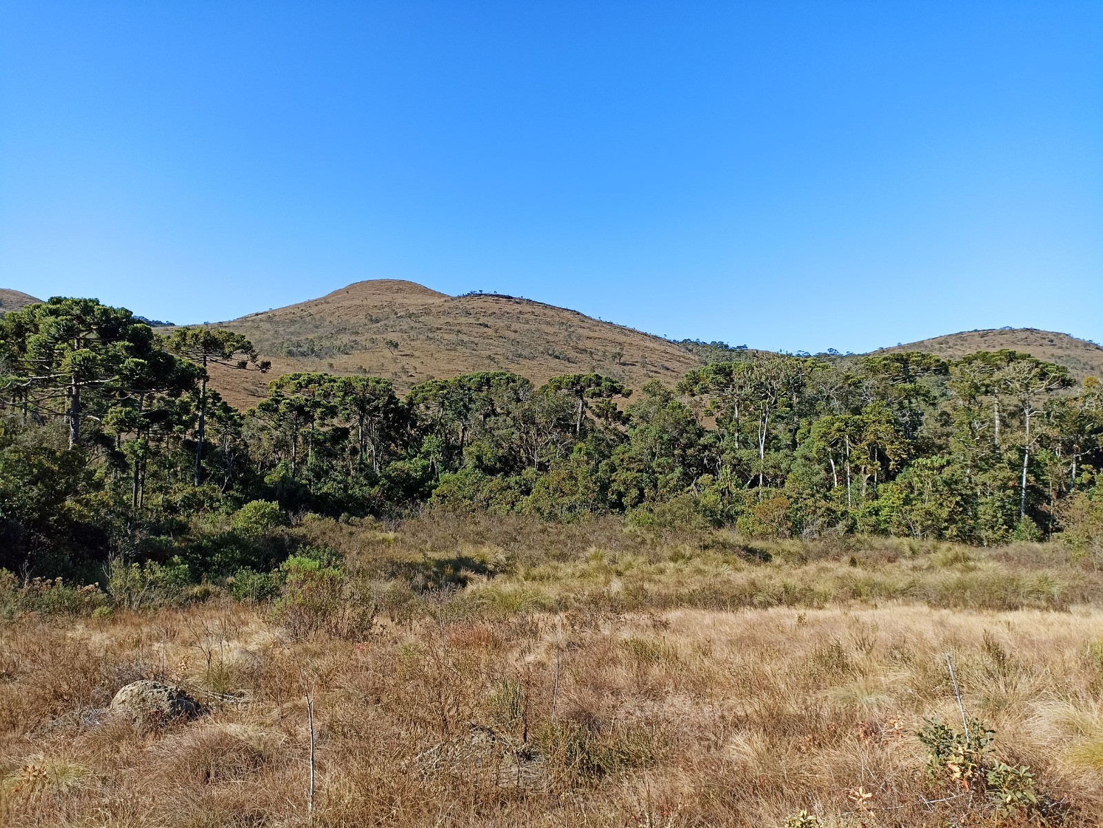Chapadão