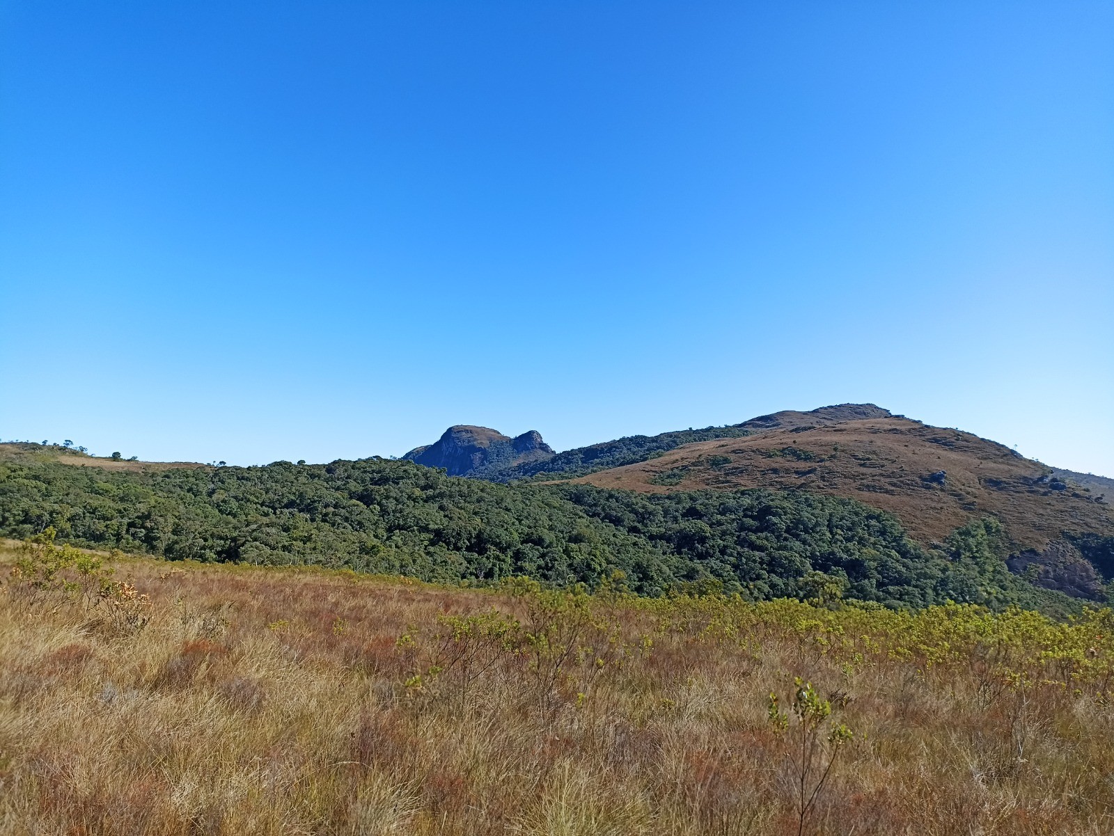 Chapadão