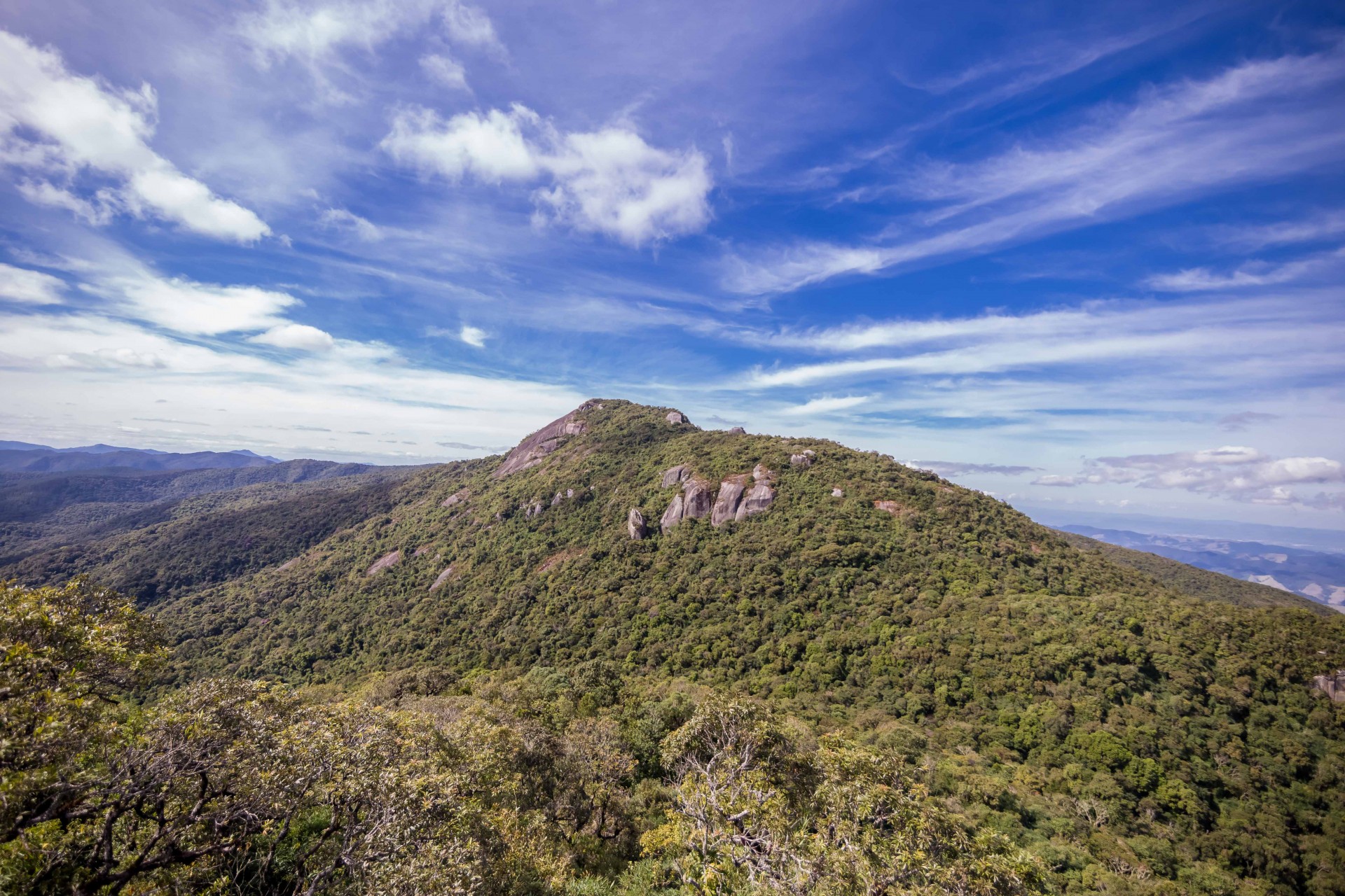 Trilha Verde