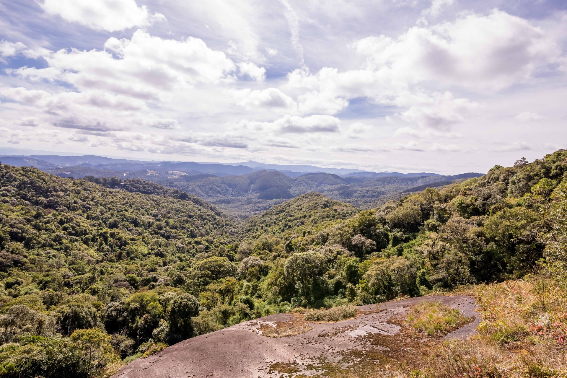 Trilha Verde