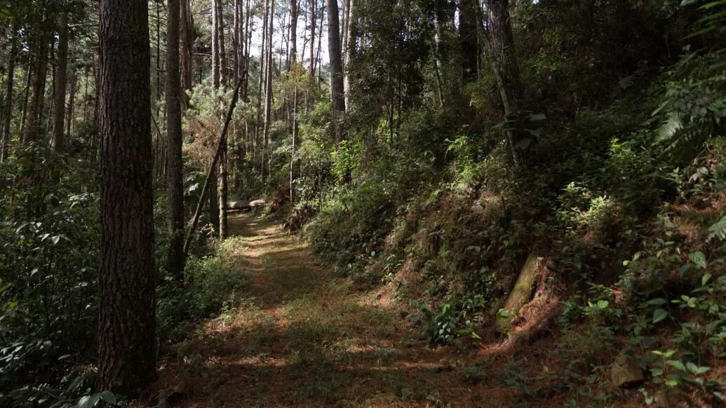 Corredeiras do itapuá