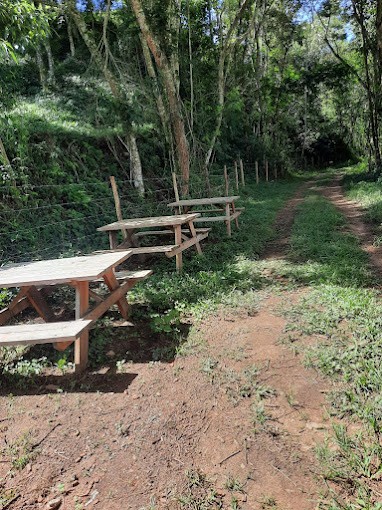 Parque do Anil