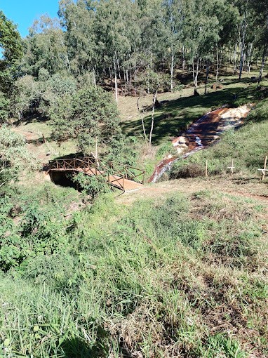 Parque do Anil