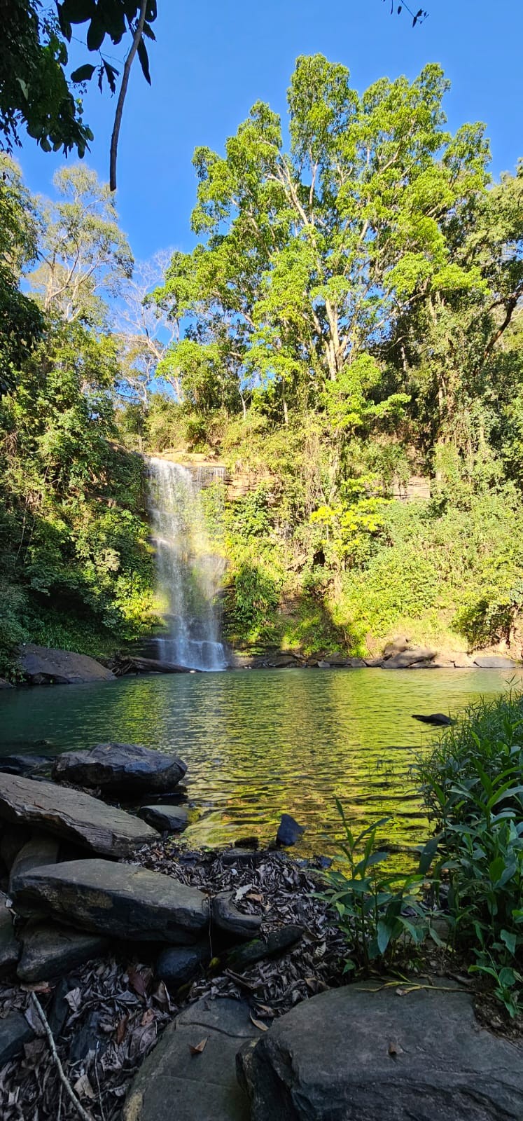 Cachoeira Alta