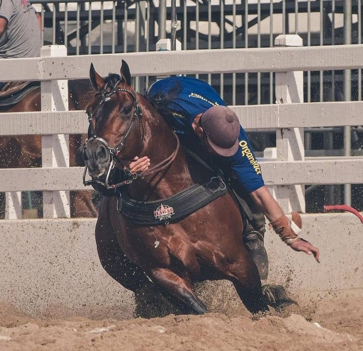 HARAS LF