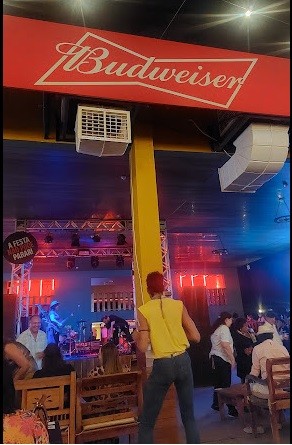 Na Villa Pub