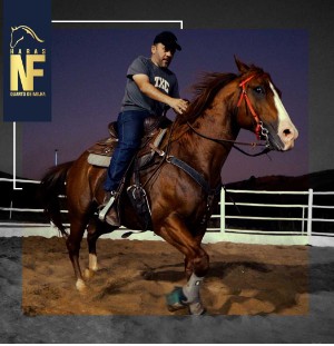 HARAS NF