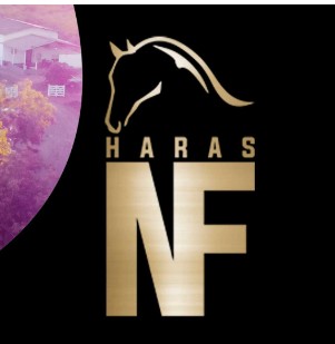 HARAS NF