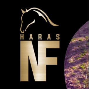HARAS NF