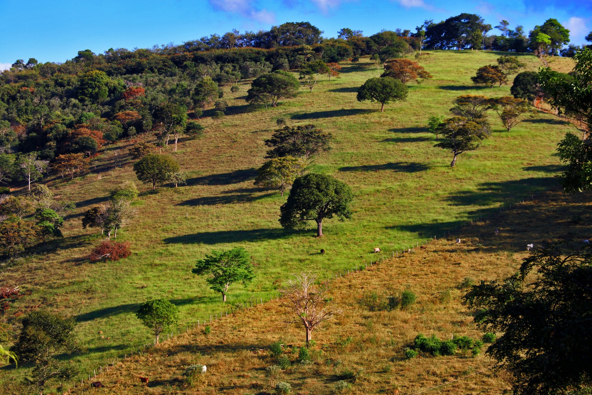 Serra da Coluninha