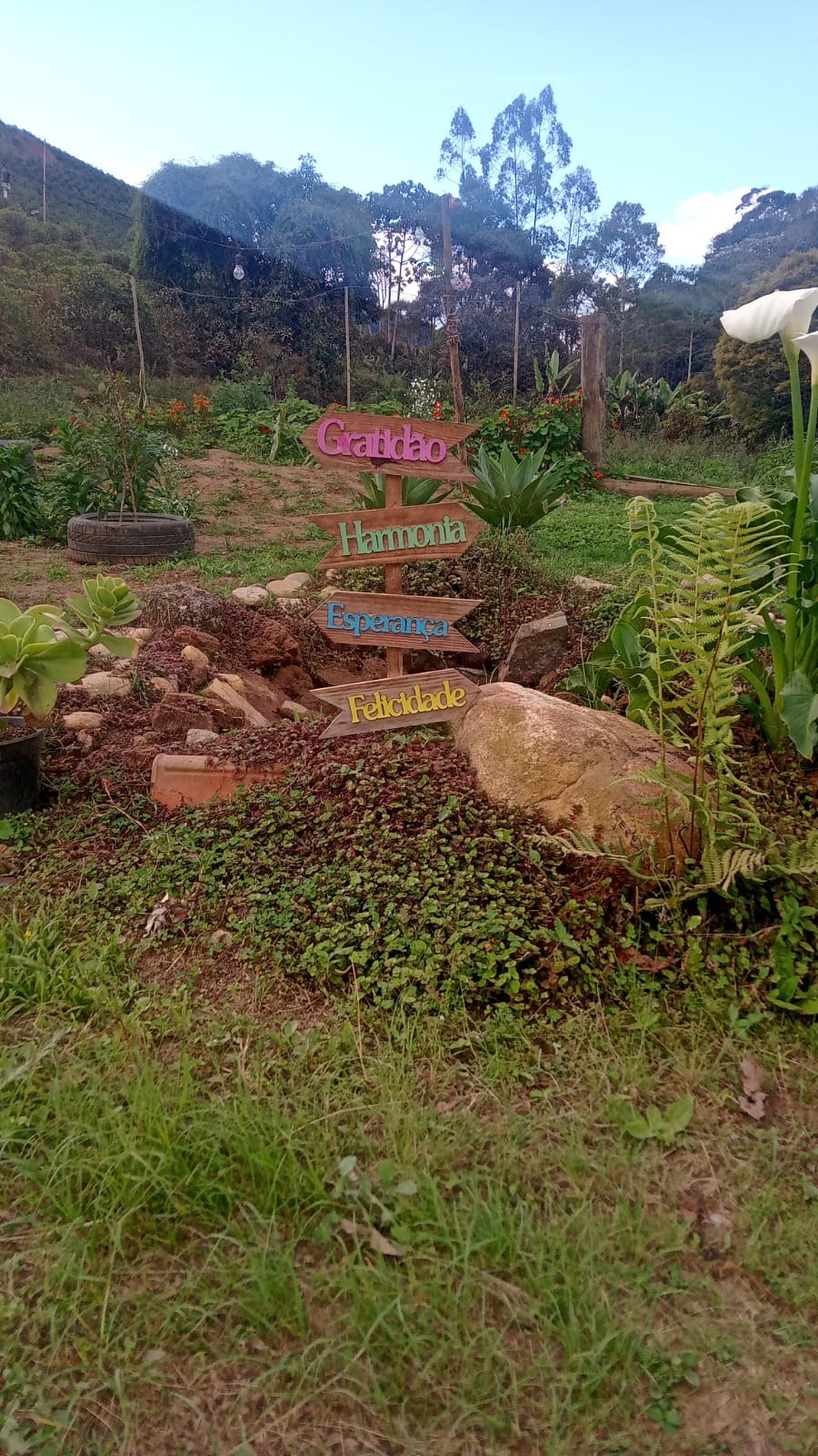 Sabores do Sítio 