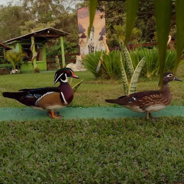 Fazendinha Ecológica Três Irmãos